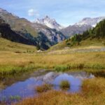 Berglandschaft mit grasbewachsenem Tal, kleinem Teich, in dem sich der Himmel spiegelt, verstreuten Bäumen und felsigen Gipfeln im Hintergrund unter einem klaren blauen Himmel.