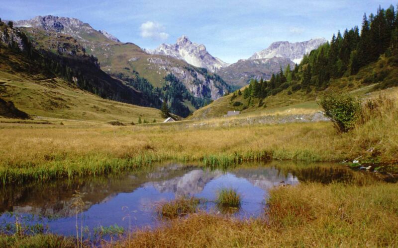 Berglandschaft mit grasbewachsenem Tal, kleinem Teich, in dem sich der Himmel spiegelt, verstreuten Bäumen und felsigen Gipfeln im Hintergrund unter einem klaren blauen Himmel.