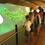 Eine Gruppe von Personen, darunter auch Kinder, betrachtet eine große interaktive digitale Anzeige mit grünen Grafiken in einem Museum oder einer Ausstellung.
