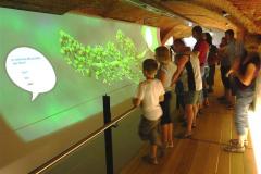 Eine Gruppe von Personen, darunter auch Kinder, betrachtet eine große interaktive digitale Anzeige mit grünen Grafiken in einem Museum oder einer Ausstellung.