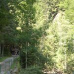 Ein schmaler Weg mit einem Metallzaun führt durch ein bewaldetes Gebiet; ein kleines Holzgebäude ist teilweise zwischen den Bäumen sichtbar.