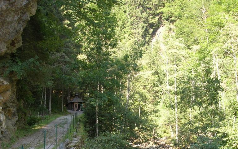 Ein schmaler Weg mit einem Metallzaun führt durch ein bewaldetes Gebiet; ein kleines Holzgebäude ist teilweise zwischen den Bäumen sichtbar.