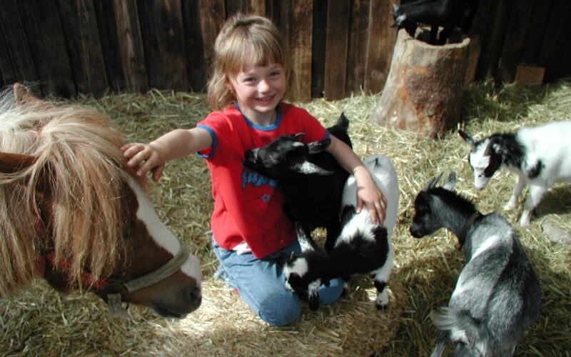 Ein kleines Kind sitzt im Stroh, lächelt und streichelt ein kleines Pferd, während es eine Ziege streichelt. Drei weitere Ziegen stehen in der Nähe in einem Holzstall.
