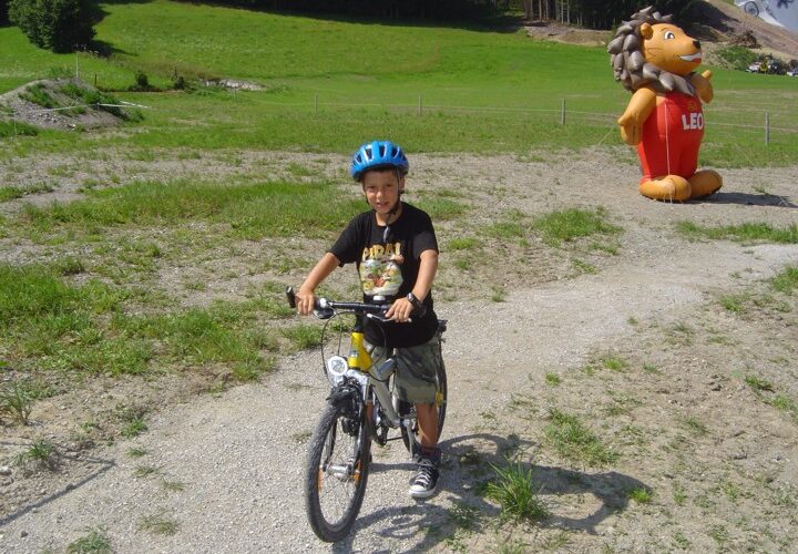 Ein lächelndes Kind, das einen blauen Helm trägt, fährt mit dem Fahrrad auf einem Kiesweg, mit einer großen aufblasbaren Löwenfigur und einer grasbewachsenen Wiese im Hintergrund.
