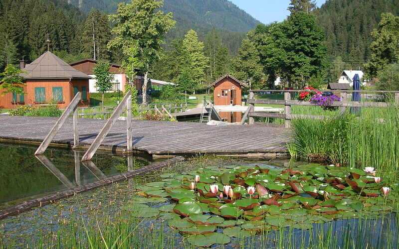 Ein Holzsteg und kleine Gebäude an einem Teich mit blühenden Seerosen, umgeben von Bäumen und Bergen im Hintergrund.