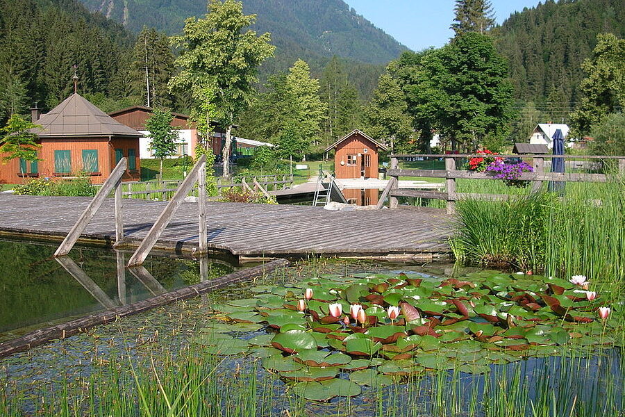 Ein Holzsteg und kleine Gebäude an einem Teich mit blühenden Seerosen, umgeben von Bäumen und Bergen im Hintergrund.