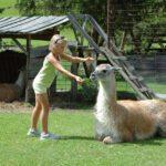 Ein junges Mädchen in grüner Kleidung steht vor einem sitzenden Lama im Gras in der Nähe eines Holzunterstands und eines Drahtzauns.