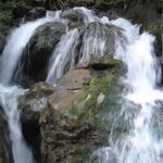 In einem Waldbach stürzt das Wasser in Kaskaden über moosbewachsene Felsen und bildet kleine Wasserfälle und Wildwasser.