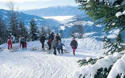 Eine Gruppe von Menschen mit Schlitten geht auf einem verschneiten Weg, umgeben von Kiefern und Bergen im Hintergrund.