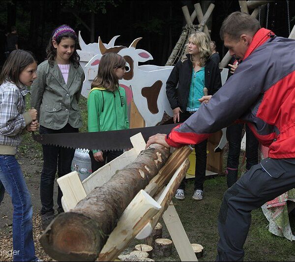 Ein Mann sägt mit einer Handsäge einen großen Baumstamm, während vier Mädchen in der Nähe von hölzernen Tierfiguren und einer tragbaren Toilette zusehen.