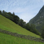 Ein grasbewachsener Hügel mit einem Holzzaun, Bäumen entlang des Hangs und einem bewaldeten Berg, der sich im Hintergrund unter einem teilweise bewölkten Himmel erhebt.