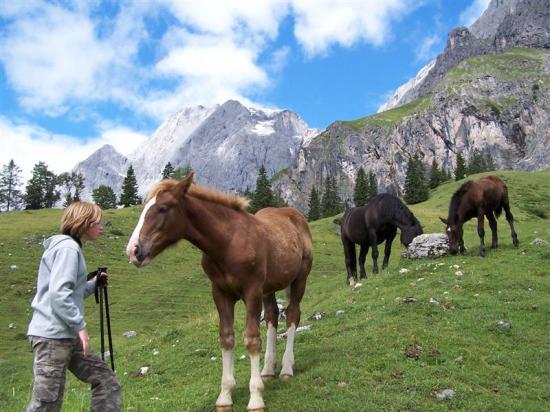 Eine Person mit Wanderstöcken steht neben einem braunen Pferd; zwei weitere Pferde grasen in einer bergigen Landschaft unter einem teilweise bewölkten Himmel.