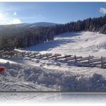 Schneebedeckte Landschaft mit einem Holzzaun, dichtem Kiefernwald und entfernten Hügeln unter einem klaren blauen Himmel.