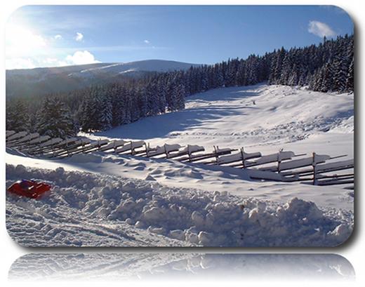 Schneebedeckte Landschaft mit einem Holzzaun, dichtem Kiefernwald und entfernten Hügeln unter einem klaren blauen Himmel.