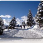Schneebedeckte Bäume säumen einen Winterweg unter blauem Himmel, und in der Ferne sind ein paar Menschen zu sehen.