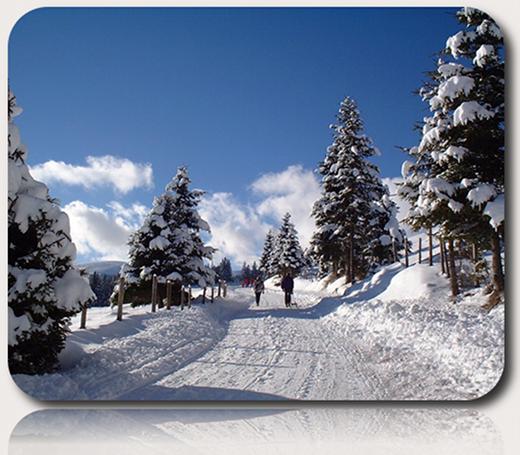 Schneebedeckte Bäume säumen einen Winterweg unter blauem Himmel, und in der Ferne sind ein paar Menschen zu sehen.