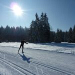 Eine Person fährt Langlauf auf einer verschneiten Loipe in einer sonnenbeschienenen, bewaldeten Landschaft mit strahlend blauem Himmel.