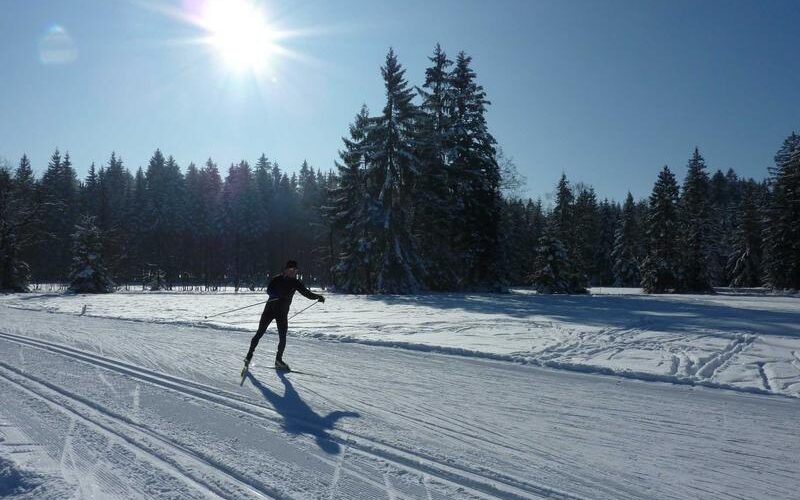 Eine Person fährt Langlauf auf einer verschneiten Loipe in einer sonnenbeschienenen, bewaldeten Landschaft mit strahlend blauem Himmel.