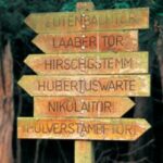 Verwitterter Holzwegweiser mit mehreren Richtungspfeilen, die jeweils mit deutschen Ortsnamen beschriftet sind, in einem Waldgebiet.