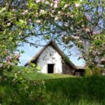 Eine strohgedeckte Hütte steht teilweise versteckt hinter blühenden Bäumen und saftig grünem Gras unter einem klaren blauen Himmel.