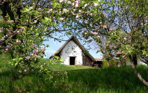 Eine strohgedeckte Hütte steht teilweise versteckt hinter blühenden Bäumen und saftig grünem Gras unter einem klaren blauen Himmel.