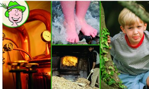 Eine Collage zeigt eine kupferne Brennereiausrüstung, Füße im Wasser, ein Kind an einem Baum, einen Ofen mit Holz und ein Cartoon-Gesicht mit einem grünen Hut.