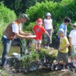 Ein Erwachsener und fünf Kinder beobachten und erforschen an einem sonnigen Tag einen kleinen, von Grünflächen umgebenen Bach.
