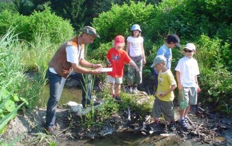 Ein Erwachsener und fünf Kinder beobachten und erforschen an einem sonnigen Tag einen kleinen, von Grünflächen umgebenen Bach.