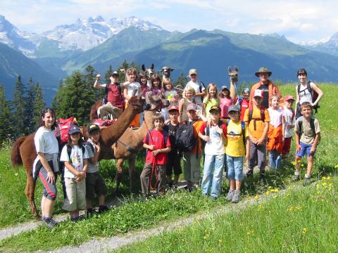 Eine Gruppe von Kindern und Erwachsenen posiert mit Lamas auf einem grasbewachsenen Bergpfad, mit grünen Hügeln und schneebedeckten Gipfeln im Hintergrund.