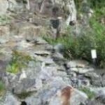 Ein felsiger Abhang mit vereinzelter grüner Vegetation und einem kleinen weißen Schild zwischen den Felsen.