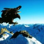 Ein großer Adler stürzt sich mit ausgefahrenen Krallen über eine verschneite Berglandschaft unter einem klaren blauen Himmel.