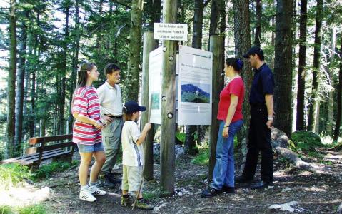 Fünf Personen stehen in einem Waldgebiet und lesen Informationstafeln, die an einem Pfosten entlang eines Waldweges angebracht sind.