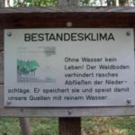 Auf einem Schild in einem Wald ist auf Deutsch zu lesen, wie wichtig Wasser für den Waldboden ist, wobei die Wasserrückhaltung und die Versorgung der Quellen mit sauberem Wasser hervorgehoben werden. Auf der linken Seite sind Bäume und ein Diagramm abgebildet.