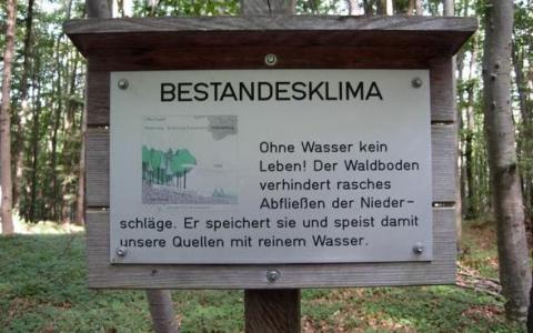 Auf einem Schild in einem Wald ist auf Deutsch zu lesen, wie wichtig Wasser für den Waldboden ist, wobei die Wasserrückhaltung und die Versorgung der Quellen mit sauberem Wasser hervorgehoben werden. Auf der linken Seite sind Bäume und ein Diagramm abgebildet.