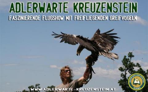 Eine Person mit Sonnenbrille hält einen großen Raubvogel auf ihrem behandschuhten Arm unter einem klaren blauen Himmel. Darüber ist der Werbetext "Adlerwarte Kreuzenstein" zu sehen.