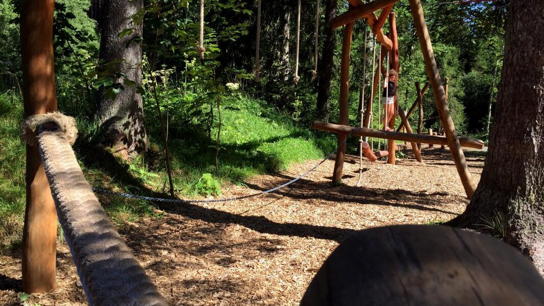 Ein Hindernisparcours aus Holz mit Seilen und Baumstämmen zwischen hohen Bäumen in einem bewaldeten Gebiet. Das Sonnenlicht fällt durch die Bäume auf den mit Raufaser bedeckten Boden.