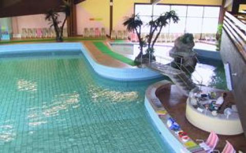 Hallenbad mit einer kleinen Brücke, künstlichen Palmen, Liegestühlen und einigen Sitzgelegenheiten am Beckenrand.