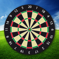 Eine Dartscheibe mit nummerierten Feldern wird im Freien vor einem blauen Himmel und einem grasbewachsenen Hintergrund dargestellt.