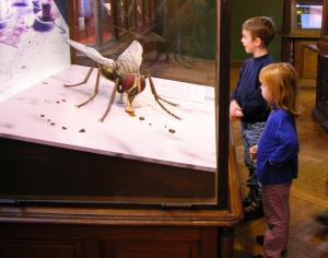 Zwei Kinder betrachten ein großes Moskito-Modell, das in einer Glasvitrine in einem Museum ausgestellt ist.