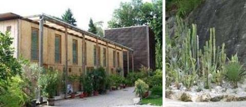 Ein langgestrecktes Gewächshaus mit hohen Fenstern ist von Topfpflanzen umgeben; rechts daneben befindet sich ein steiniger Gartenbereich mit verschiedenen Kakteen und Sukkulenten.