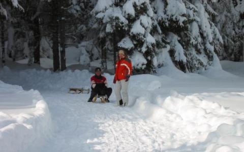 Zwei Personen mit einem kleinen Schlitten stehen auf einem schneebedeckten Weg, der von schneebedeckten Bäumen in einem Waldgebiet umgeben ist.