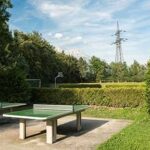 Zwei Tischtennisplatten im Freien in einem Park mit grünen Bäumen, Hecken, einem Basketballkorb und einem Strommast im Hintergrund unter blauem Himmel.