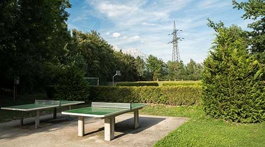 Zwei Tischtennisplatten im Freien in einem Park mit grünen Bäumen, Hecken, einem Basketballkorb und einem Strommast im Hintergrund unter blauem Himmel.