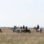 Eine Gruppe von Menschen reitet auf Pferden über ein offenes, grasbewachsenes Feld unter einem klaren Himmel.