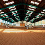 Reithalle mit mehreren Personen und Pferden, sandigem Boden, hoher Decke und Oberlichtern, die für natürliche Beleuchtung sorgen.