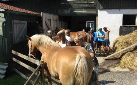 Eine Gruppe von Menschen, darunter auch Kinder, ist um ein hellbraunes Pferd in der Nähe einer Scheune versammelt, einige streicheln das Pferd, andere stehen in der Nähe.