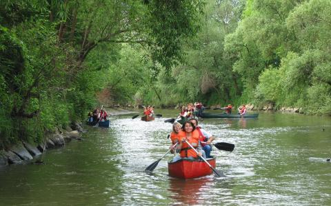 An einem bewölkten Tag paddeln mehrere Gruppen von Menschen in Kanus einen schmalen, von Bäumen gesäumten Fluss hinunter.