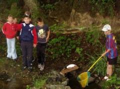 Vier Kinder stehen an einem kleinen Bach; drei stehen am Ufer, während eines ein gelbes Netz benutzt, um etwas im Wasser zu fangen.