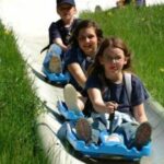 Drei Kinder fahren an einem sonnigen Tag auf blauen Schlitten eine Betonrutsche hinunter, umgeben von grünem Gras und gelbem Löwenzahn.