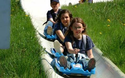 Drei Kinder fahren an einem sonnigen Tag auf blauen Schlitten eine Betonrutsche hinunter, umgeben von grünem Gras und gelbem Löwenzahn.